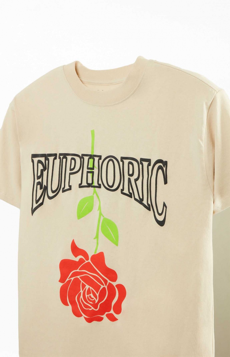 T-shirt PacSun Euphoric Hombre Kaki | ZNAIT6021