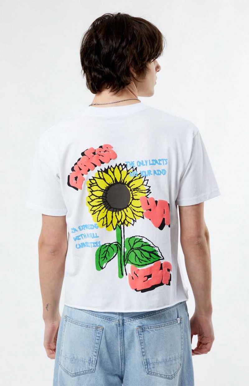 T-shirt PacSun Express Ya Self Cropped Hombre Blancas | NUYSH8651