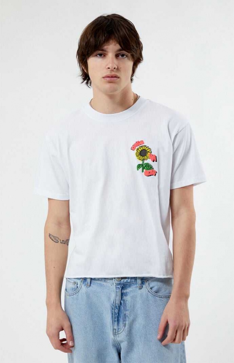 T-shirt PacSun Express Ya Self Cropped Hombre Blancas | NUYSH8651