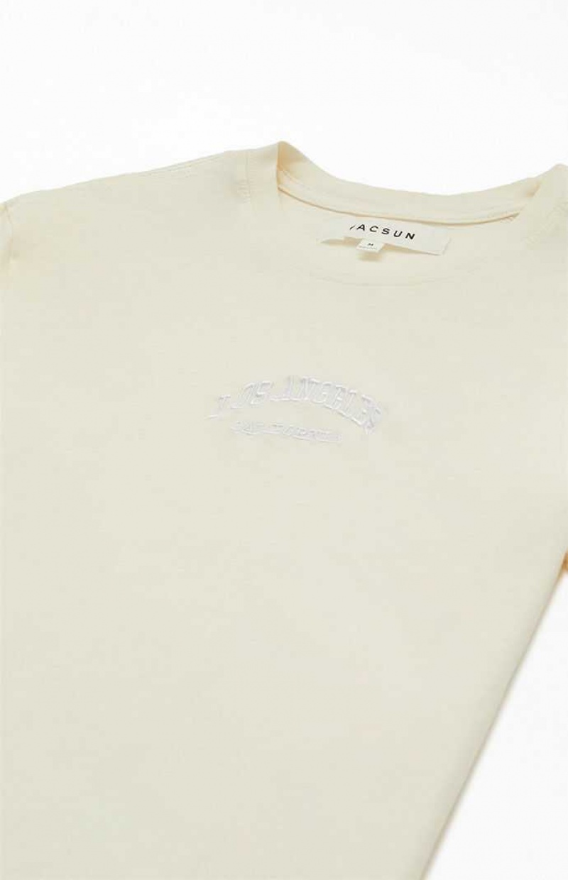 T-shirt PacSun LA Embroidered Hombre Blancas | RDSXP6903