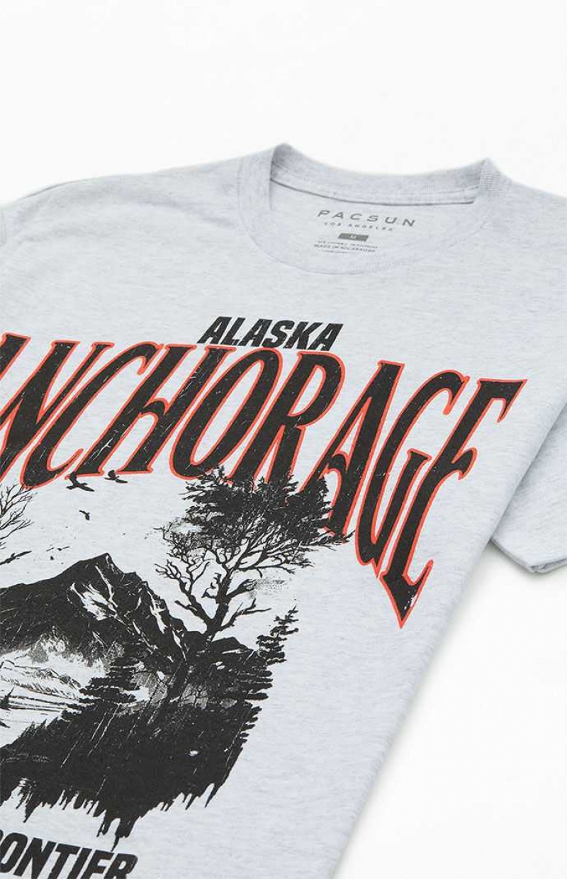 T-shirt PacSun Last Frontier Hombre Gris | NBKJL1742