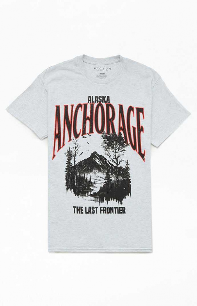 T-shirt PacSun Last Frontier Hombre Gris | NBKJL1742