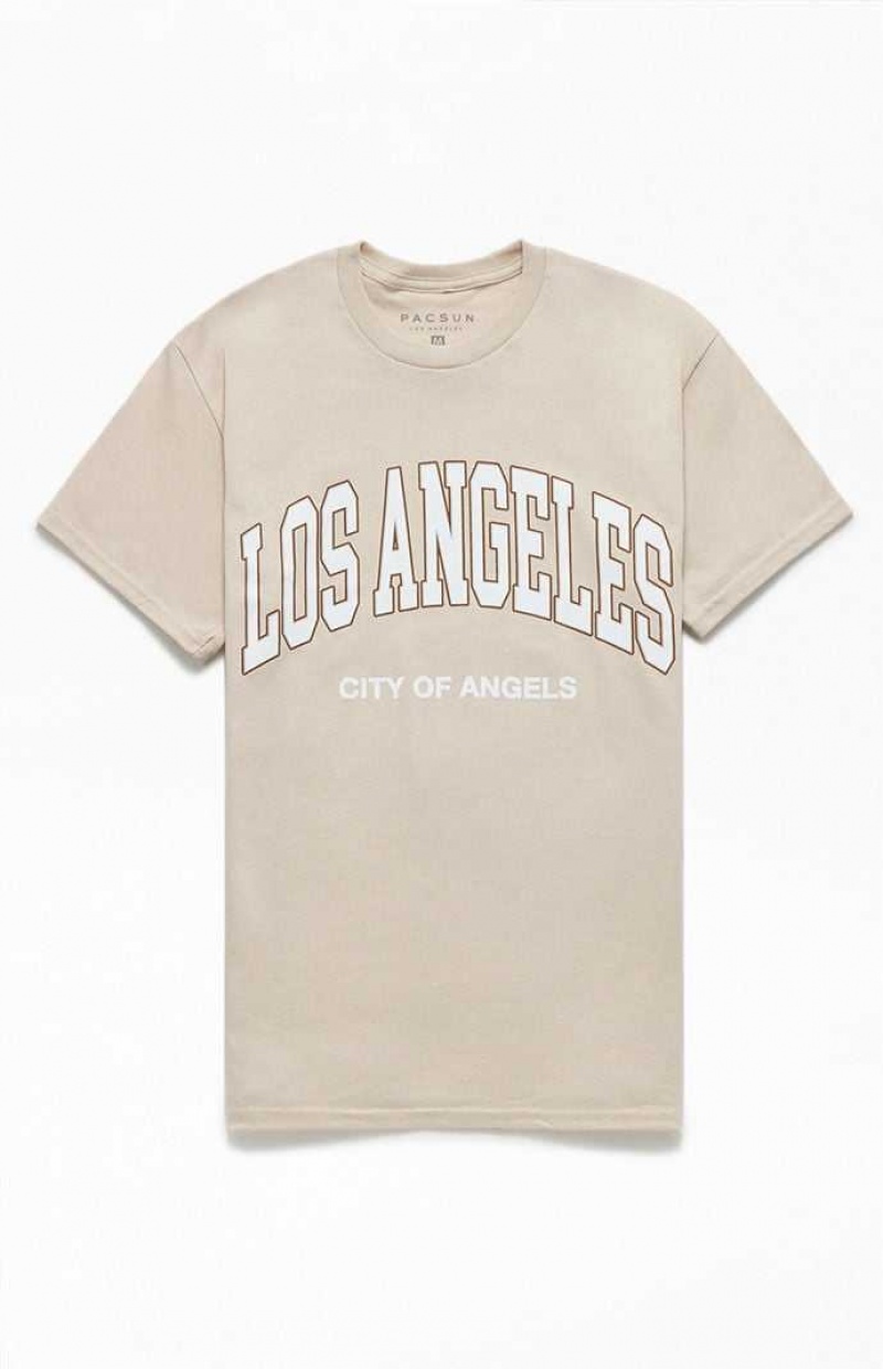 T-shirt PacSun Los Angeles Collegiate Hombre Marrones | VSWFR4761