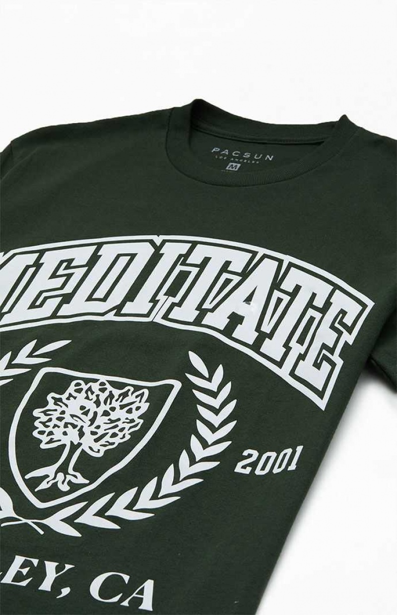 T-shirt PacSun Meditate College Hombre Verde | ODGSI7894