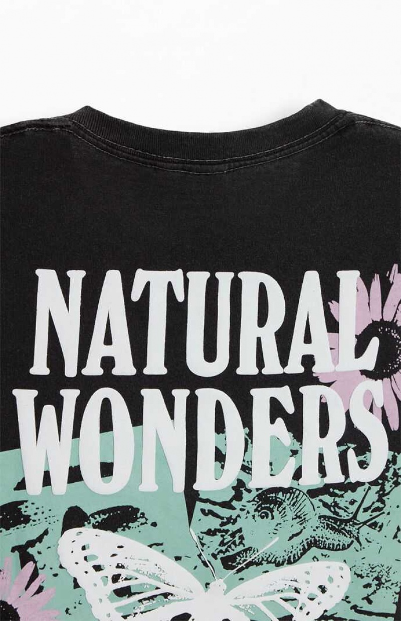 T-shirt PacSun Natural Wonders Hombre Negras | TZJOF8025