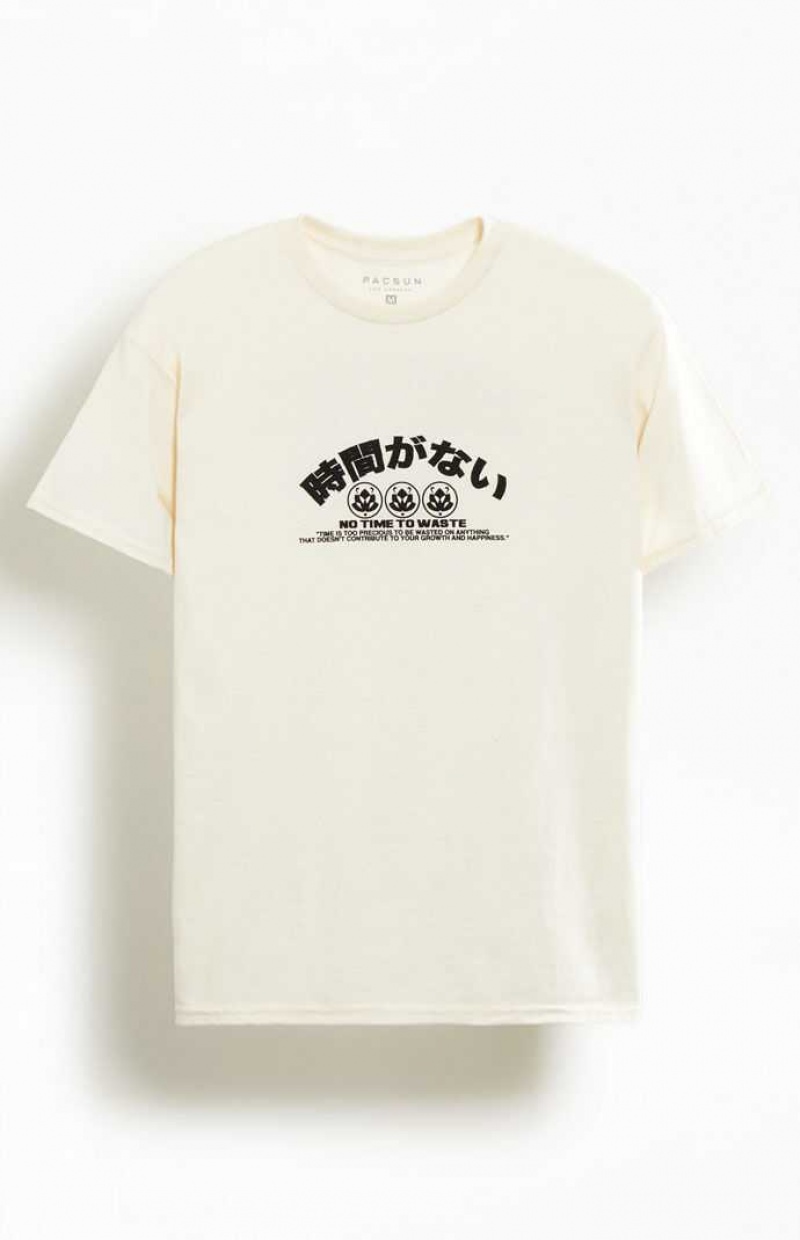 T-shirt PacSun No Time To Waste Hombre Beige | XHYKV0653