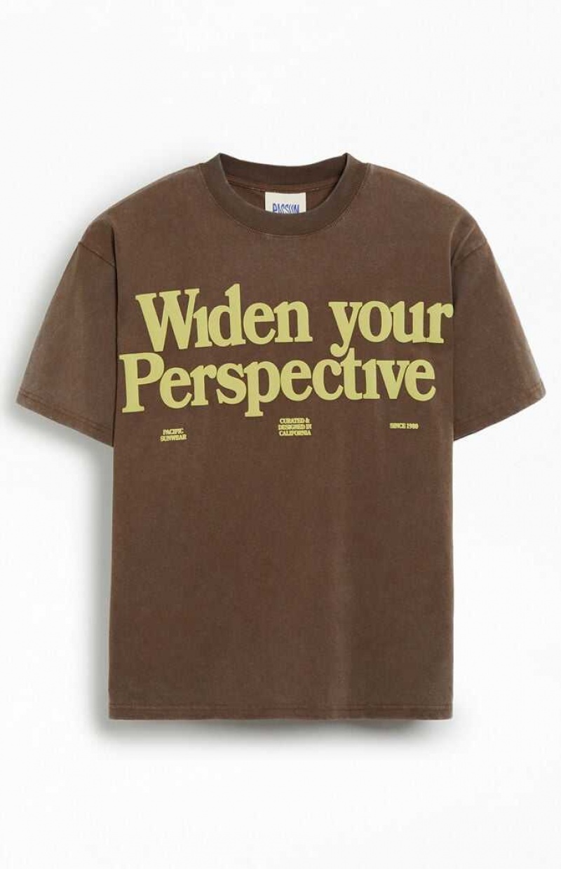 T-shirt PacSun POV Hombre Marrones | STYGE6437