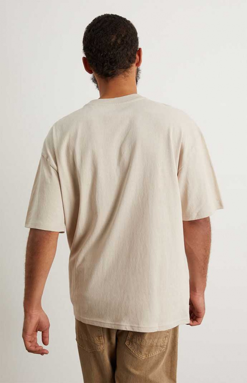 T-shirt PacSun PS Basics Solid Boxy Hombre Plateadas | UPIZT2796