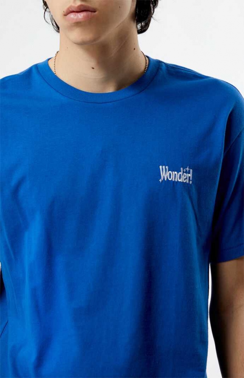 T-shirt PacSun PS Basics Wonder Hombre Azules | FQWSX2384