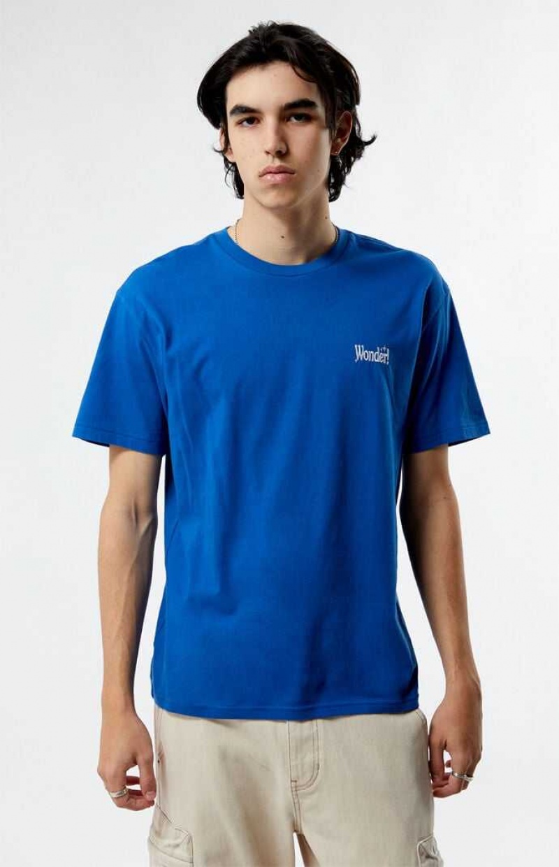 T-shirt PacSun PS Basics Wonder Hombre Azules | FQWSX2384