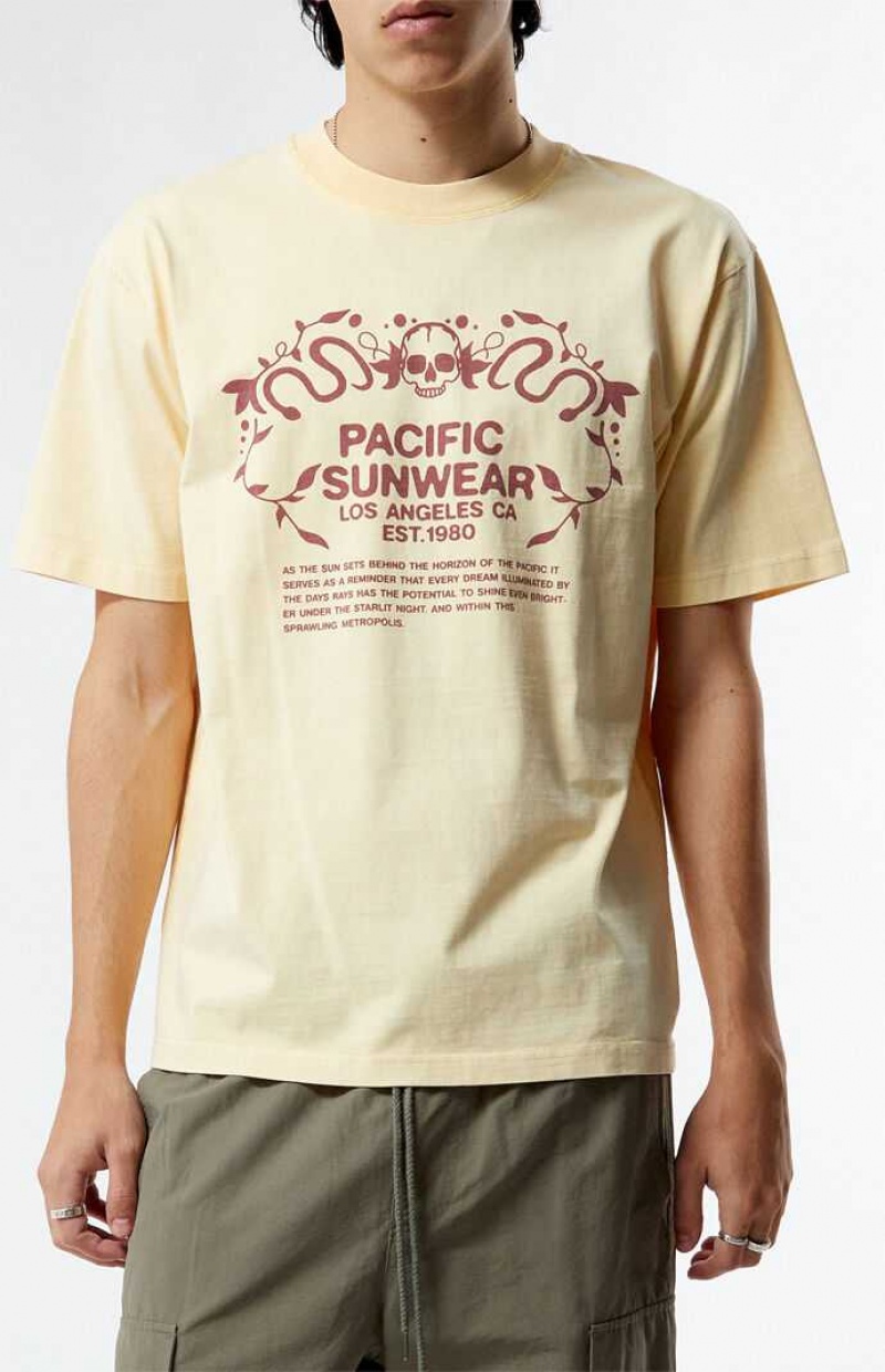 T-shirt PacSun Pacific Sunwear Behind The Horizons Hombre Marrones | IQHBY8435