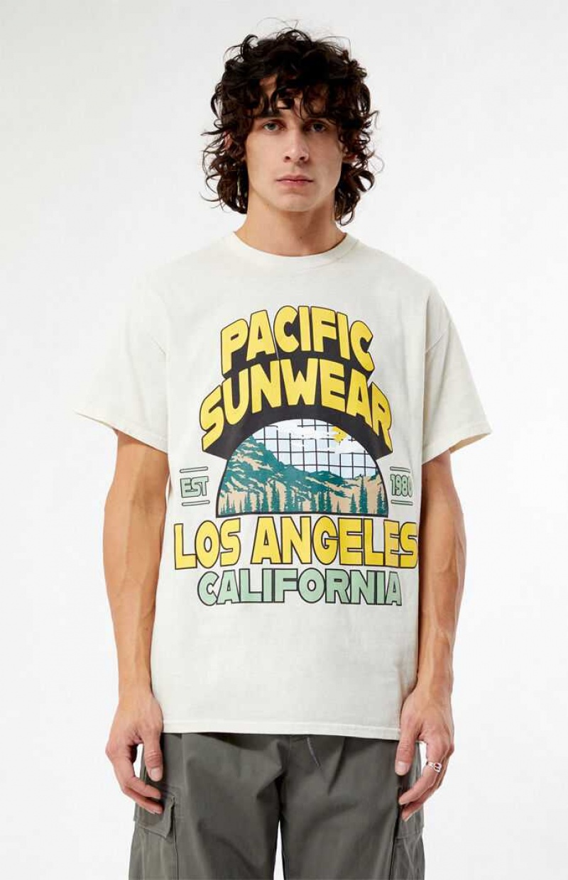 T-shirt PacSun Pacific Sunwear Los Angeles Hombre Marrones | HYWPF6349