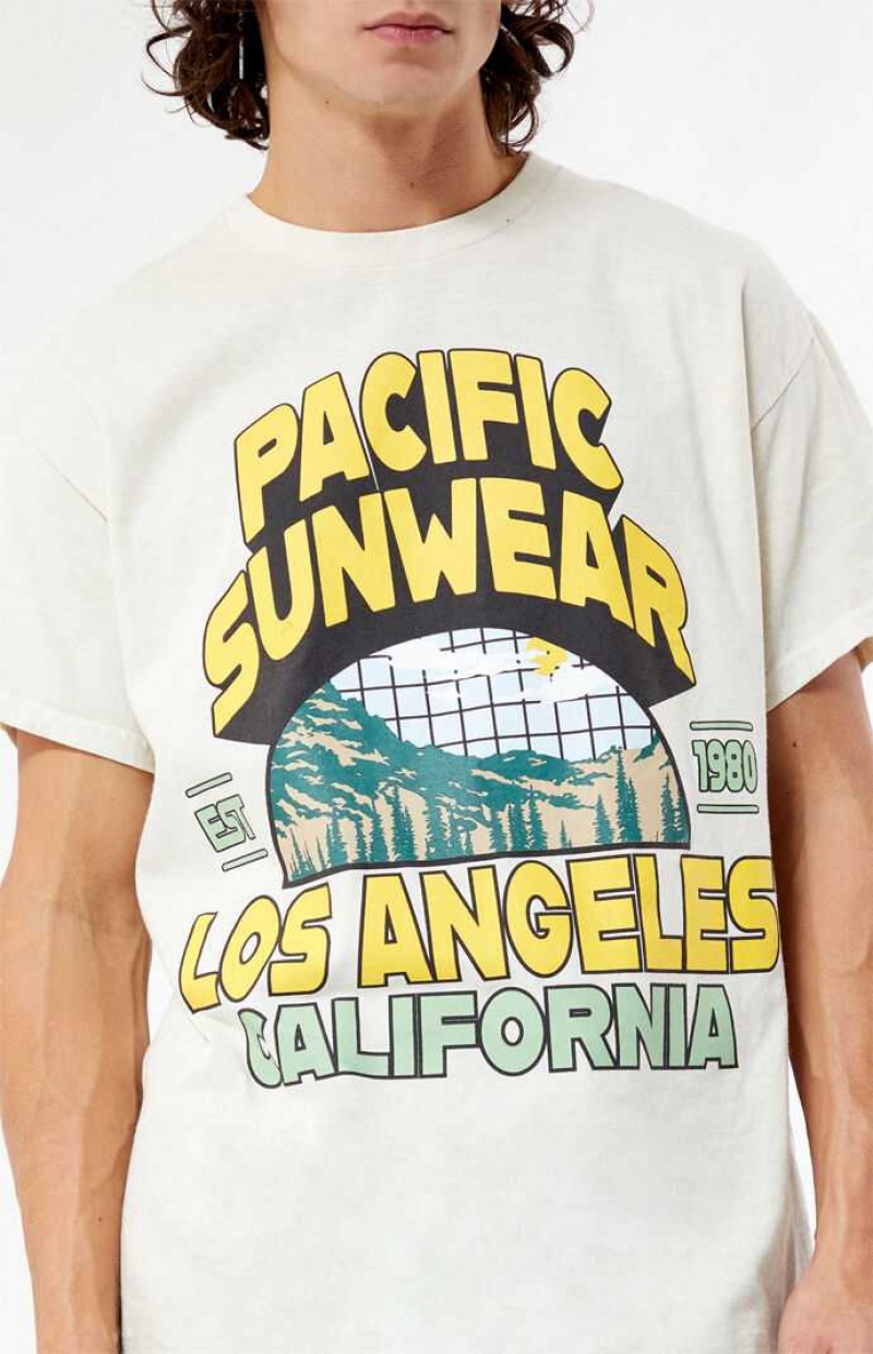 T-shirt PacSun Pacific Sunwear Los Angeles Hombre Marrones | HYWPF6349