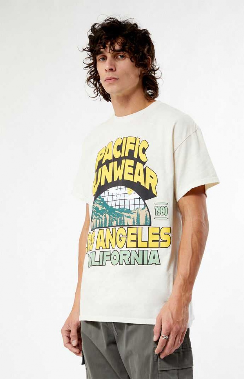 T-shirt PacSun Pacific Sunwear Los Angeles Hombre Marrones | HYWPF6349