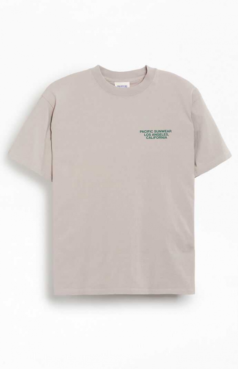 T-shirt PacSun Pacific Sunwear Palms Hombre Creme | LAKCR8493